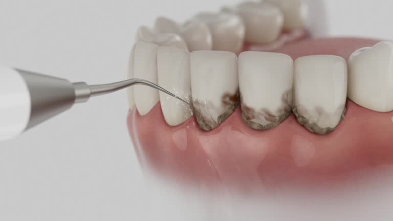 Reliable Dental contractor in Manchester, MO by Dentist Open Now